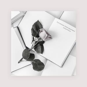 22厘米篮球生被榨精到一滴一滴
