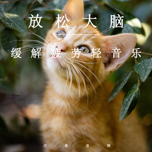 22厘米篮球生被榨精到一滴一滴
